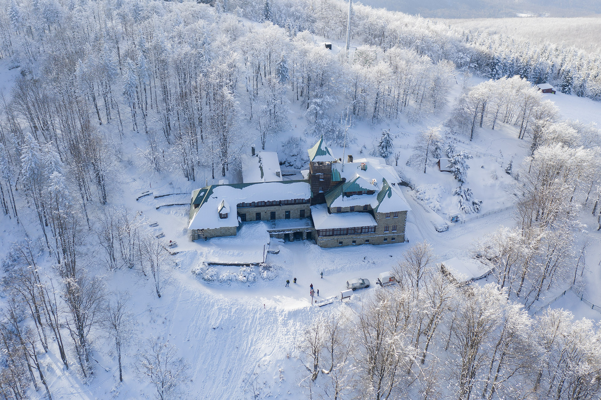 photo gallery image 01