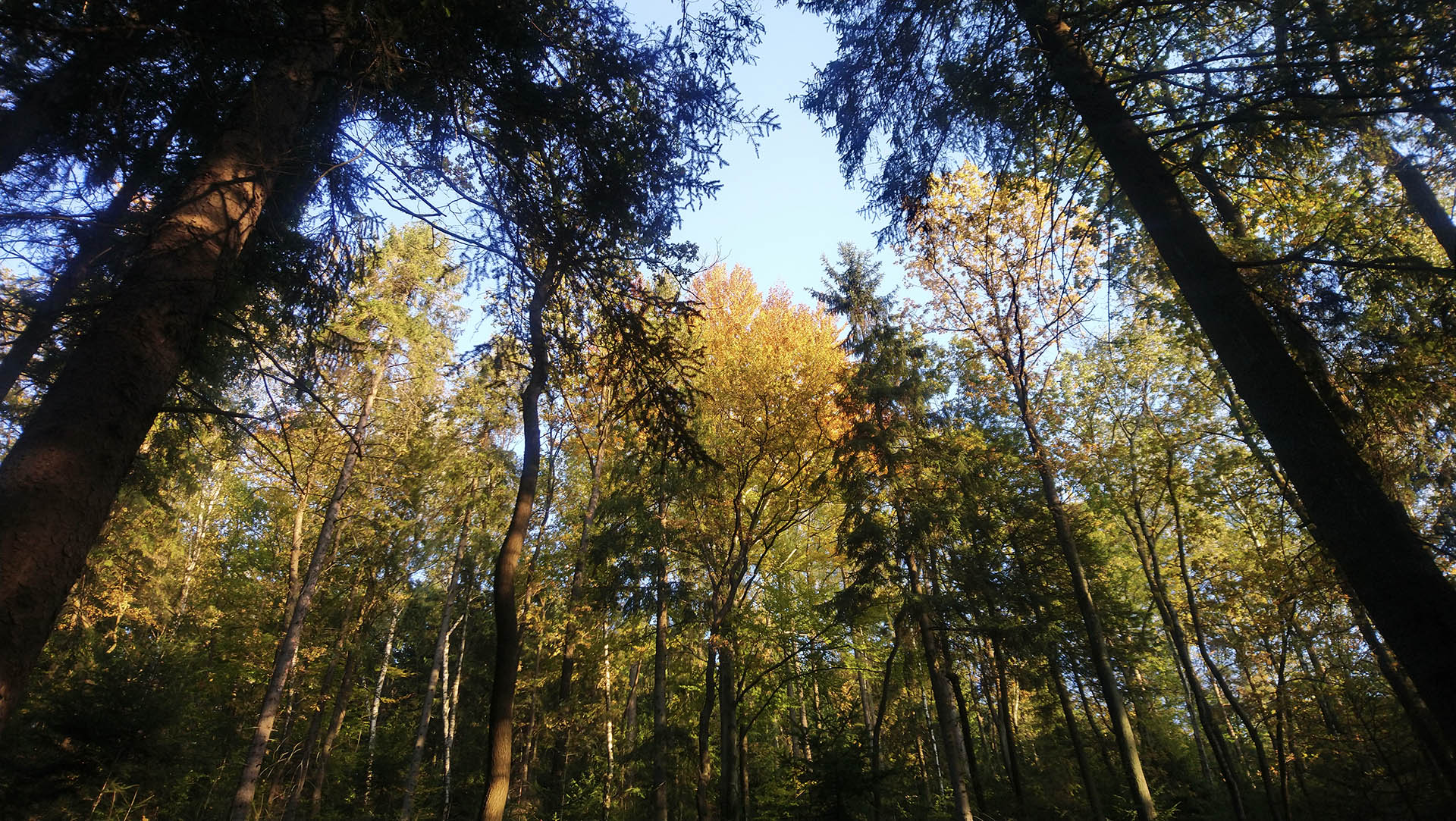 photo gallery image 01