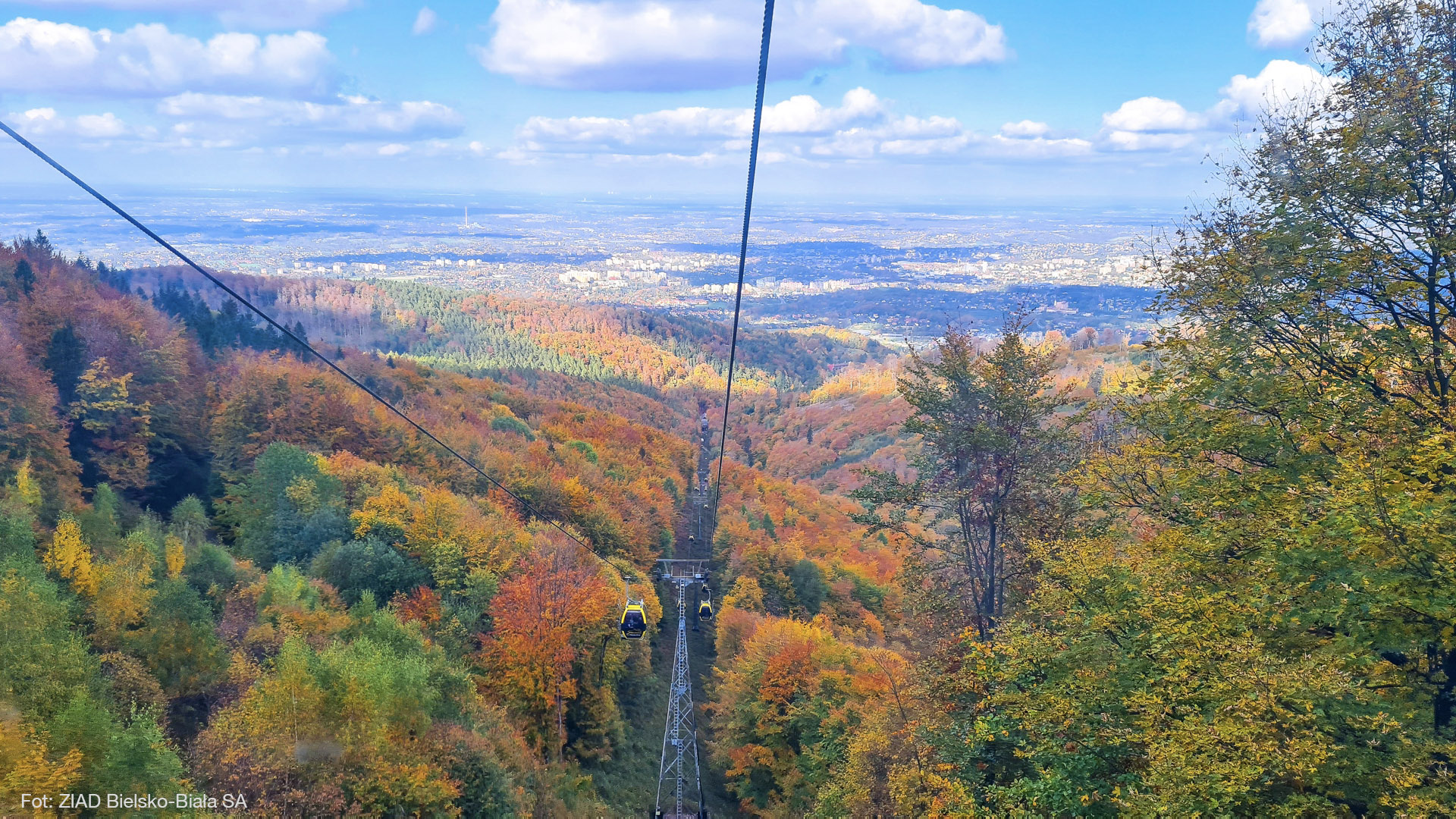 photo gallery image 01