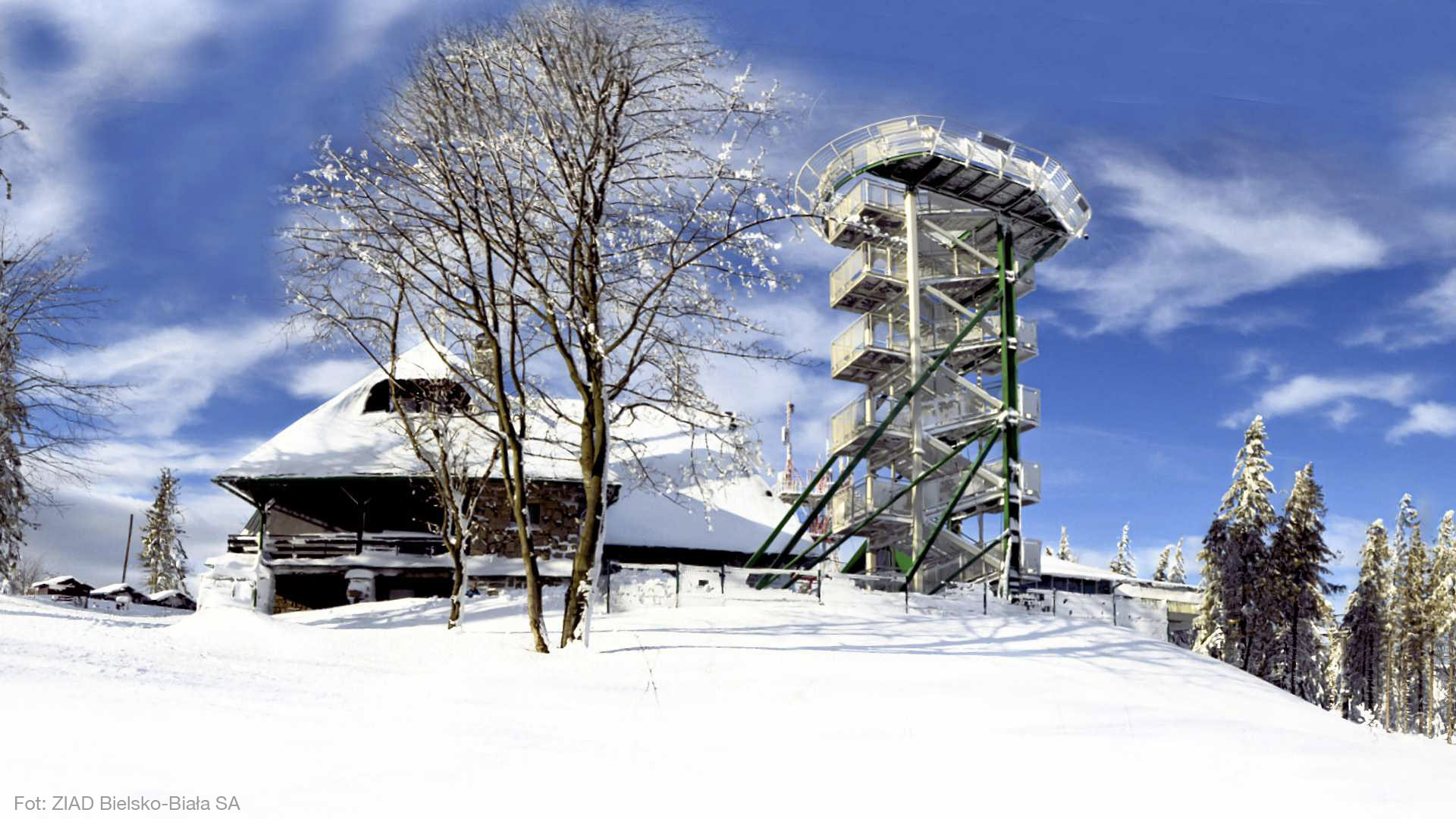 photo gallery image 01