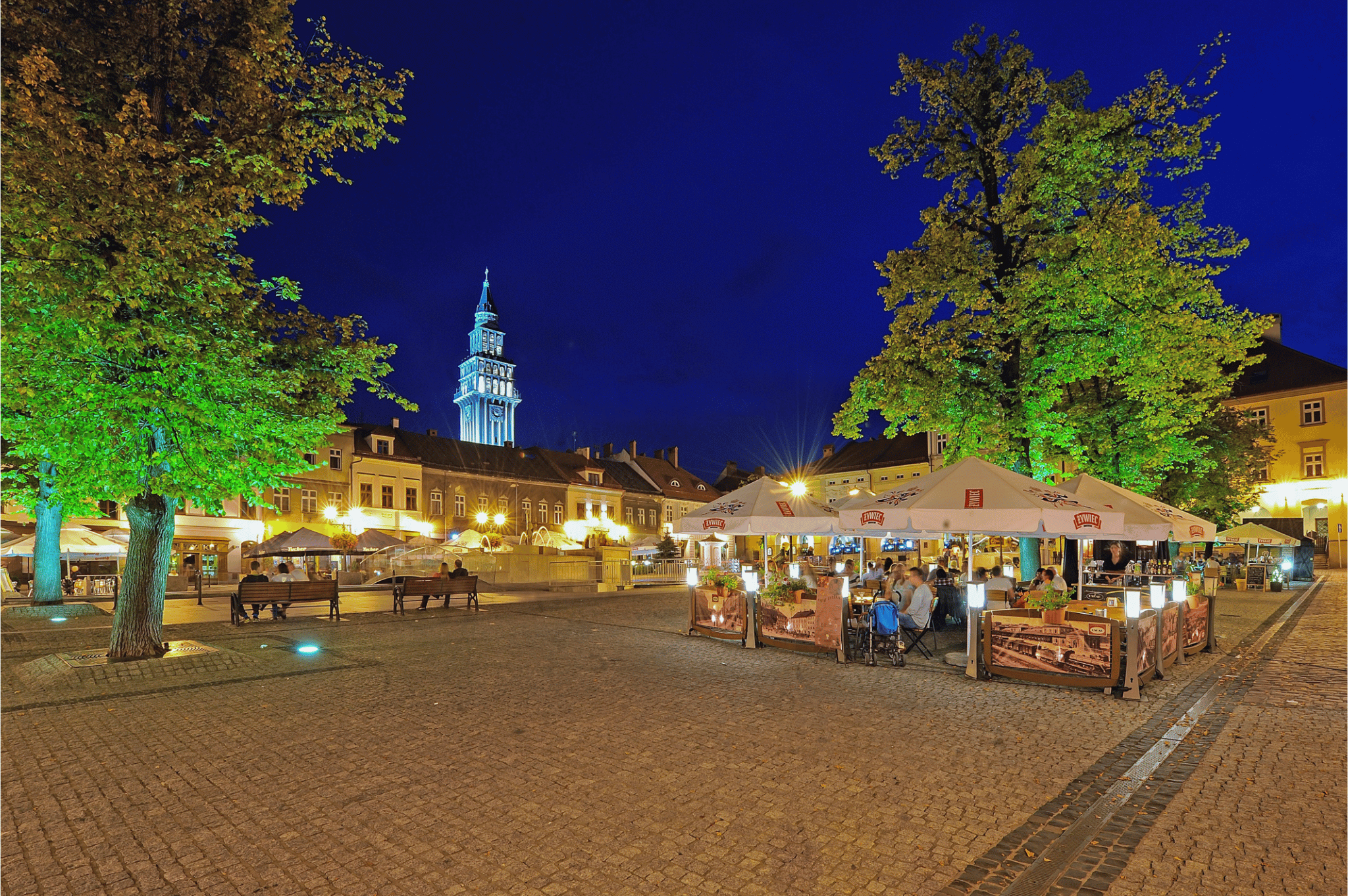 photo gallery image 01