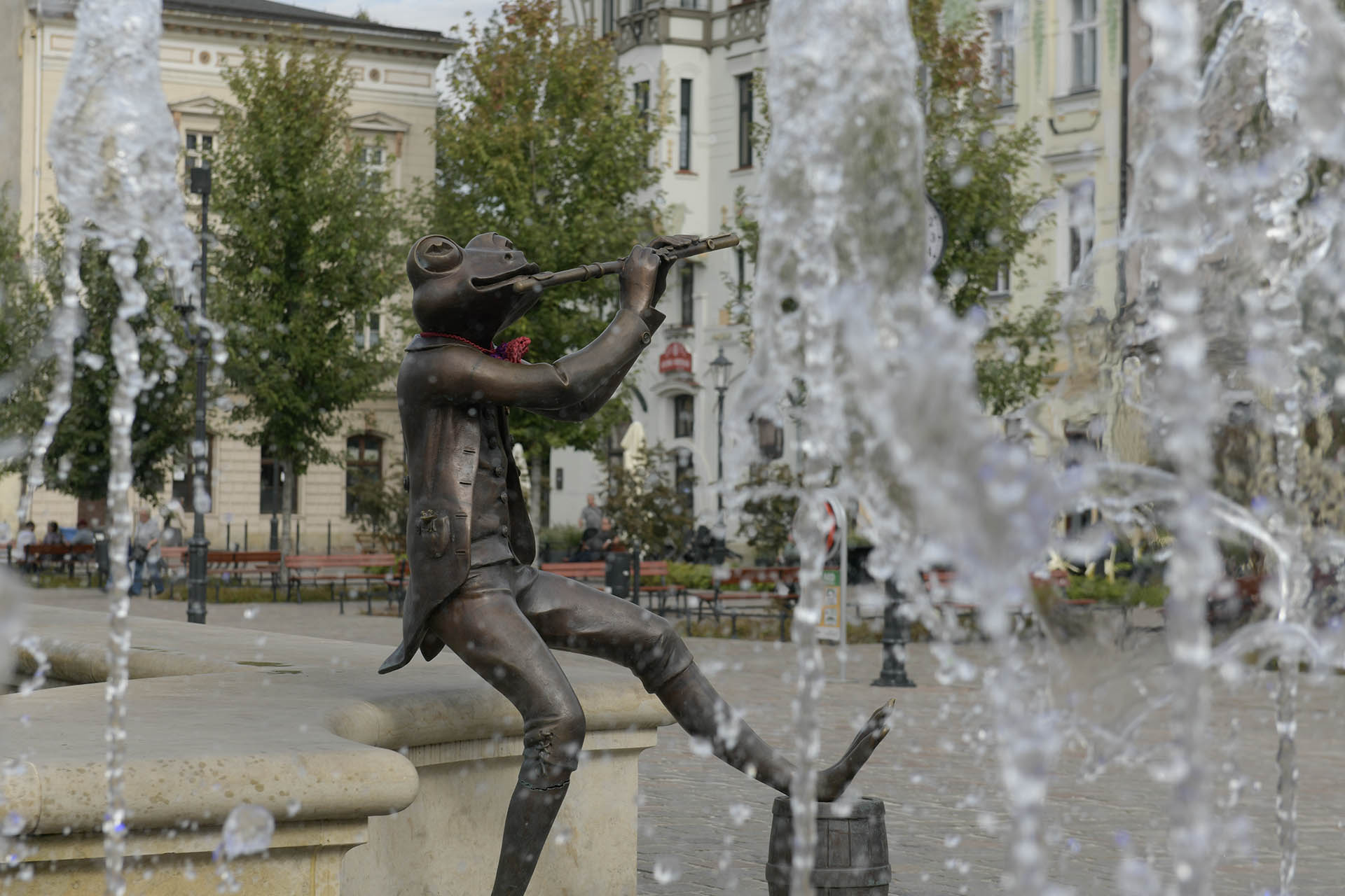 photo gallery image 01