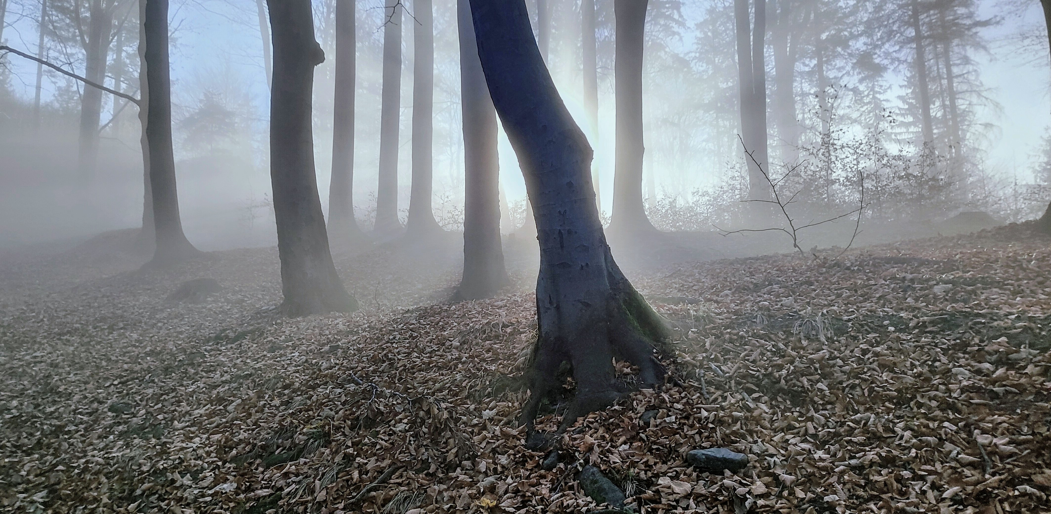 photo gallery image 01