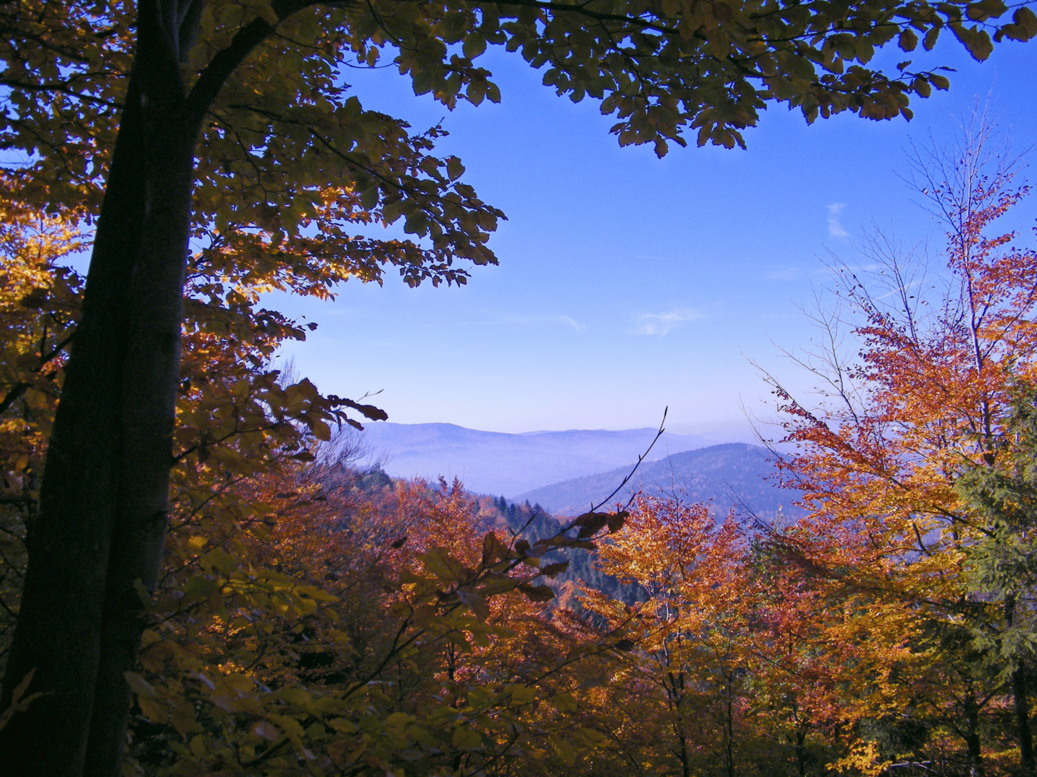 photo gallery image 01