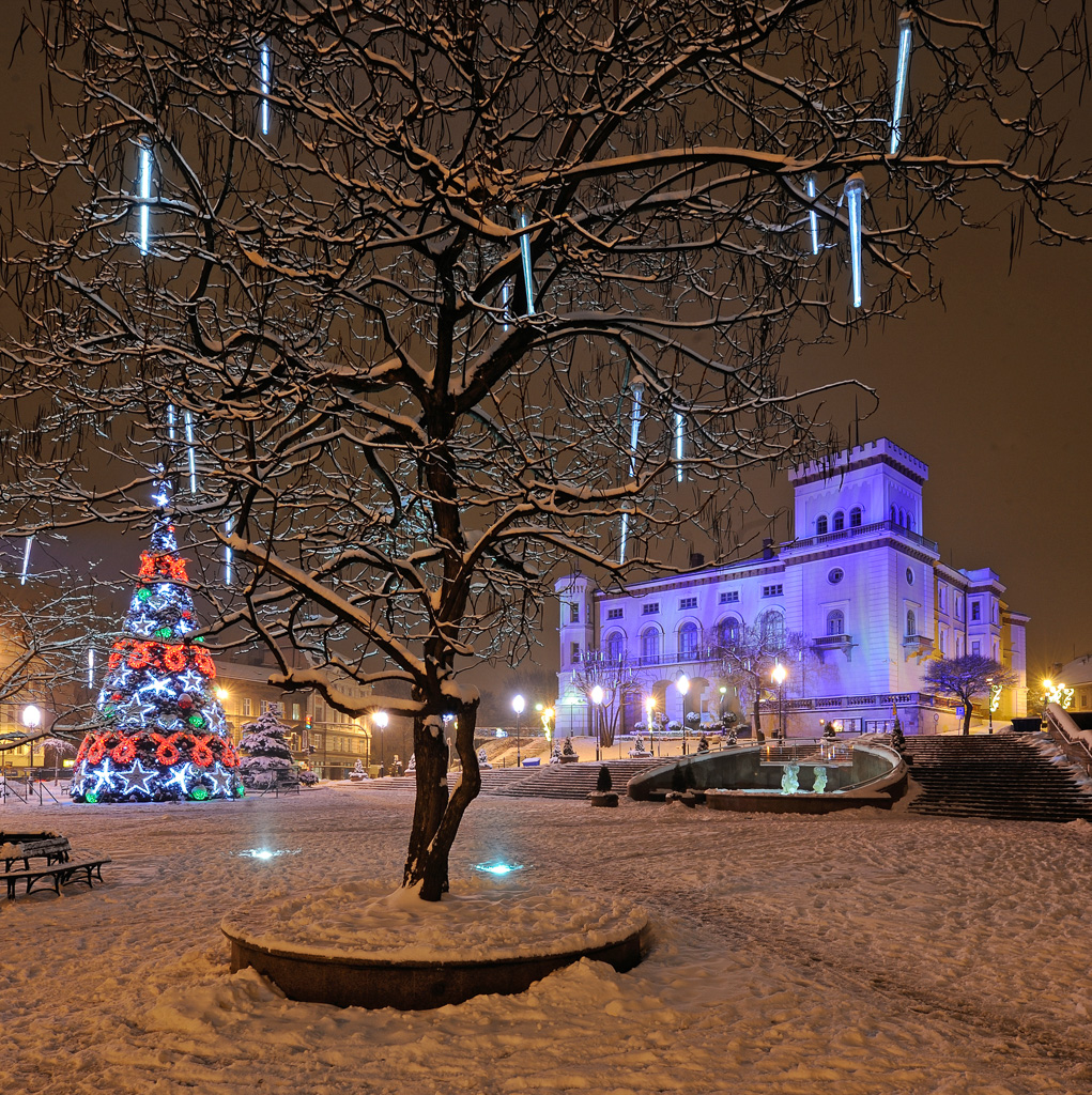 photo gallery image 01