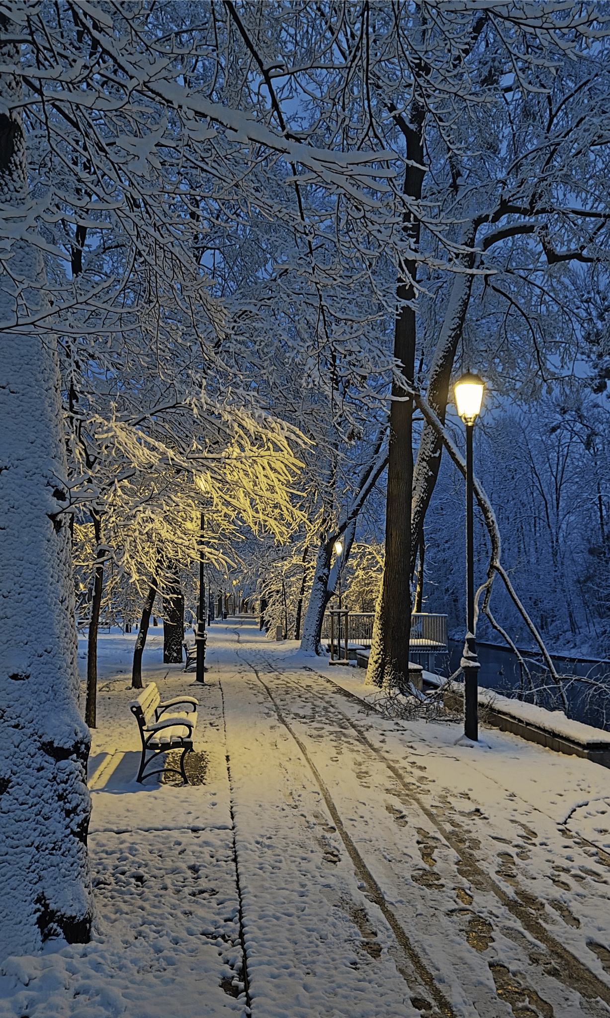 photo gallery image 01