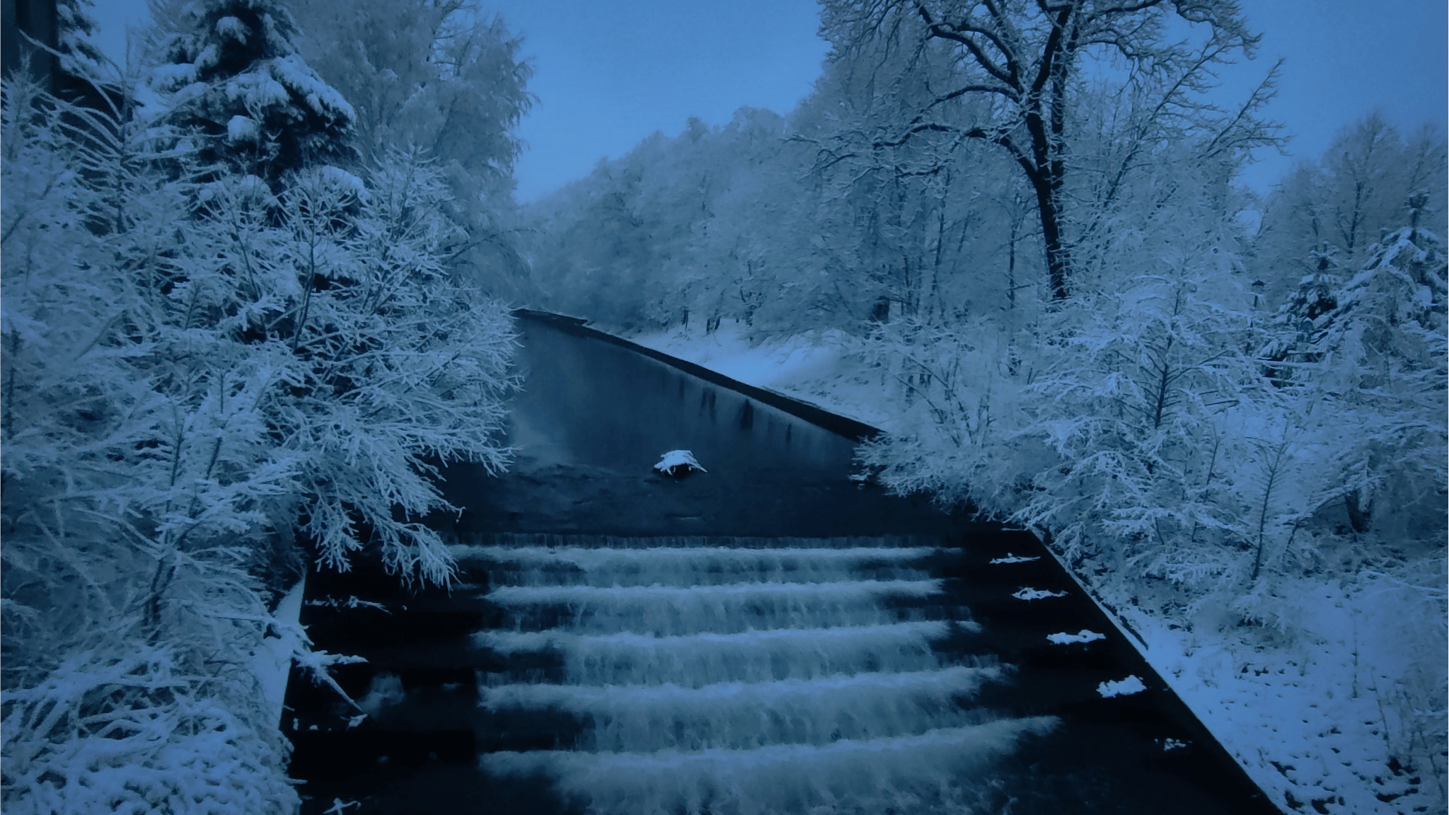 photo gallery image 01