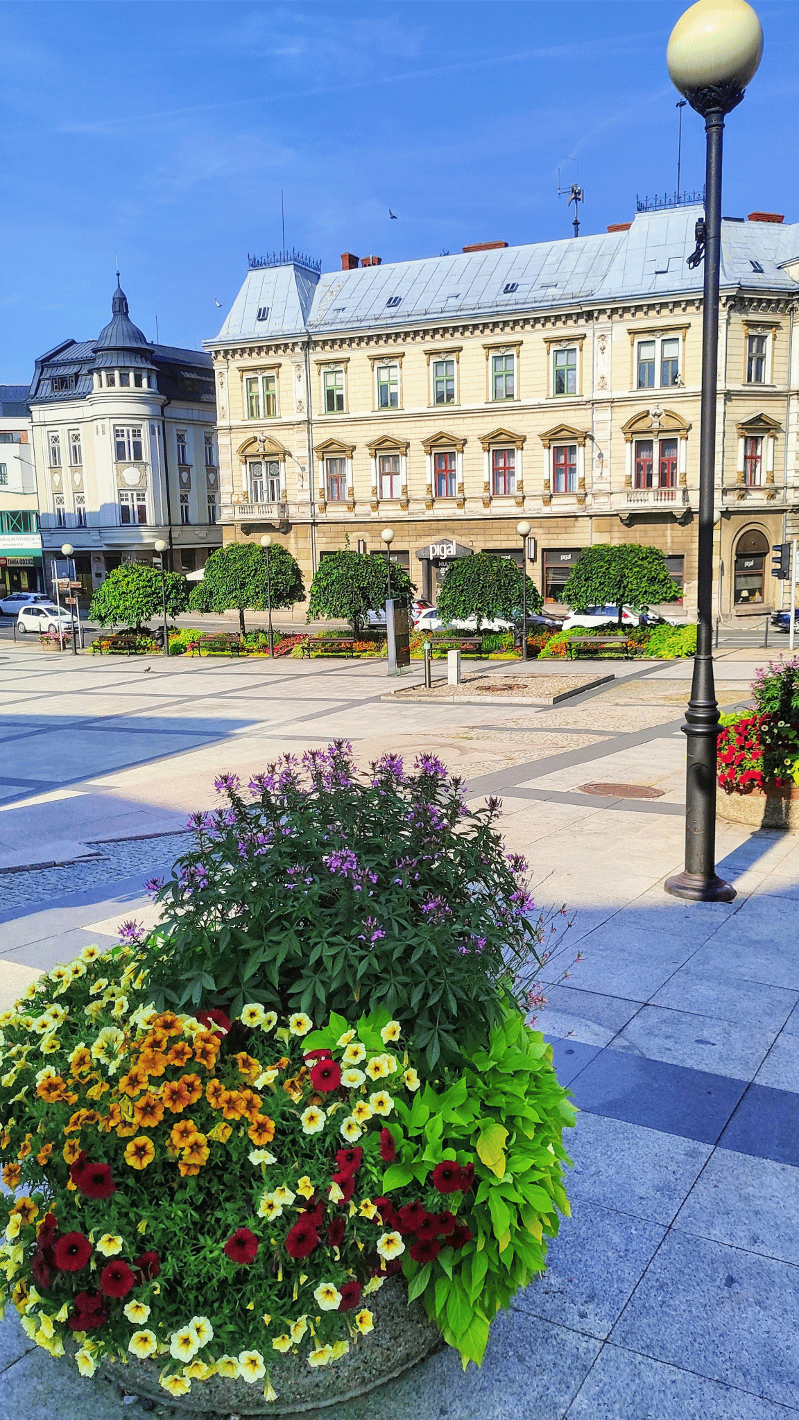 photo gallery image 01