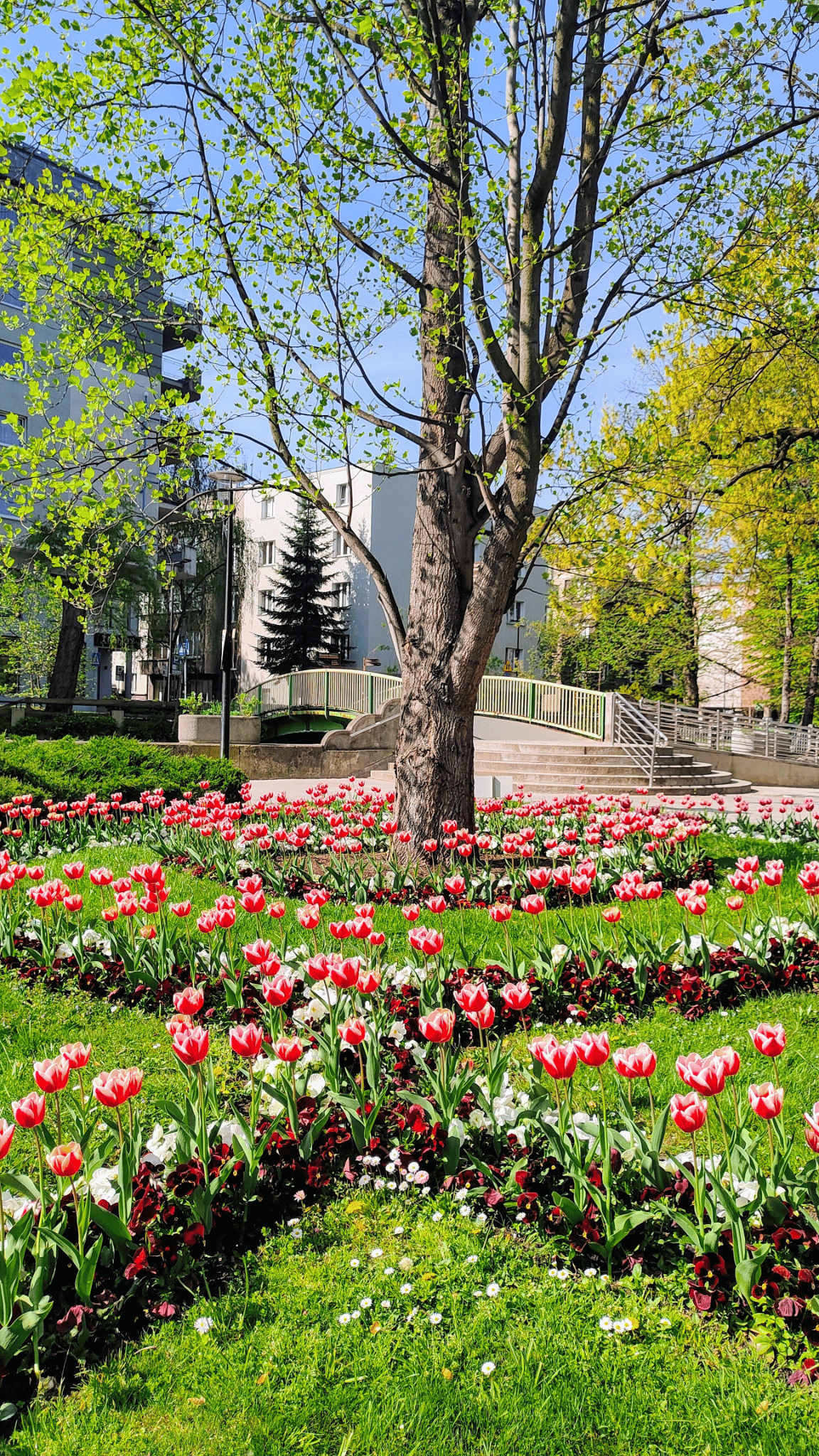 photo gallery image 01