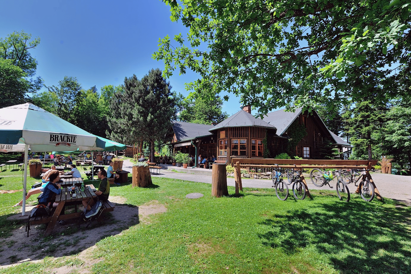 photo gallery image 01