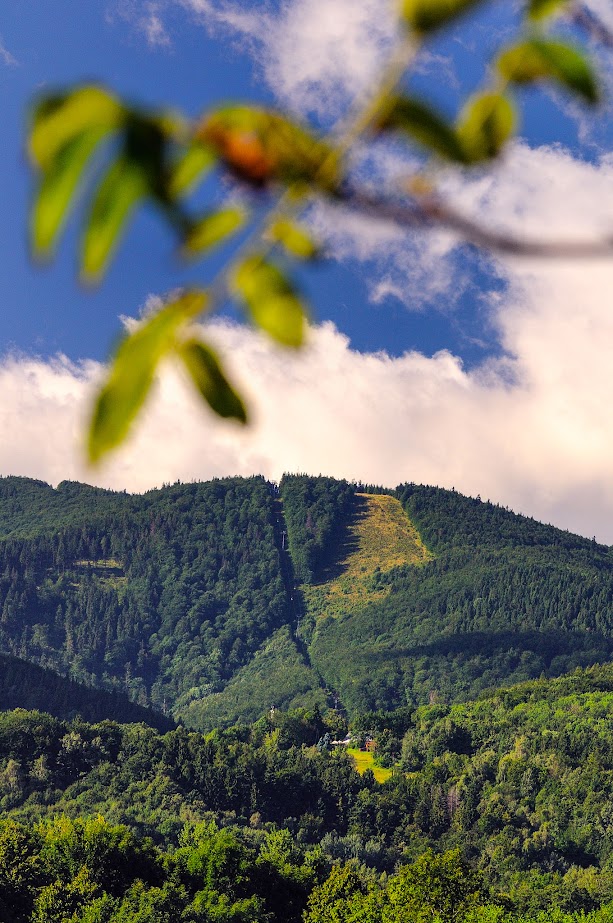 photo gallery image 01