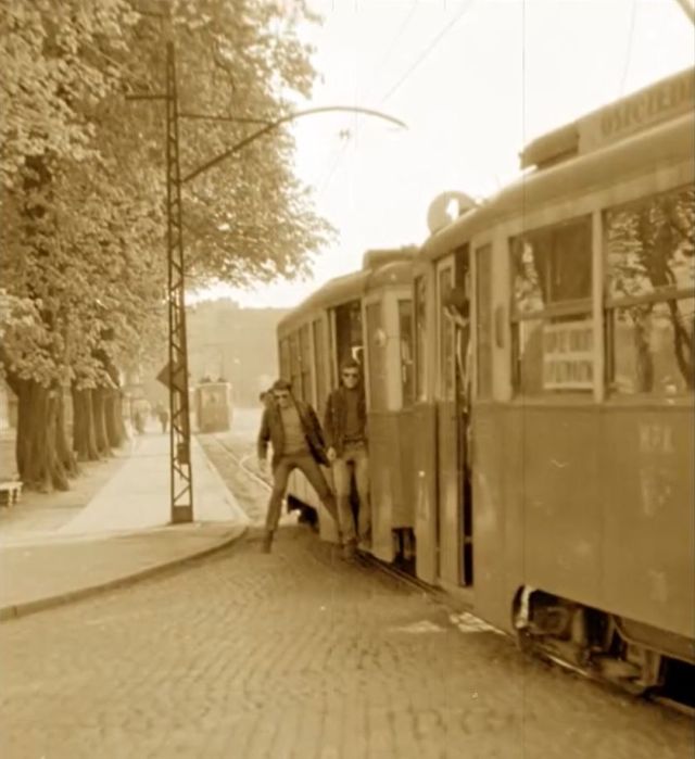 photo gallery image 01