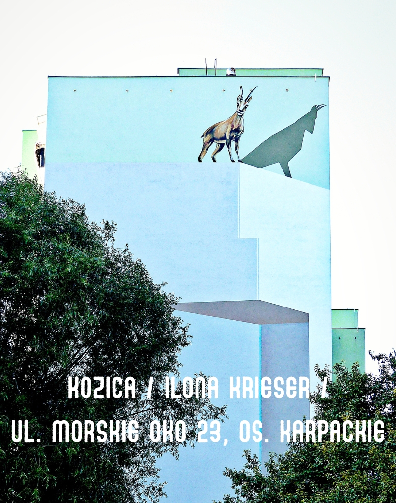 photo gallery image 01