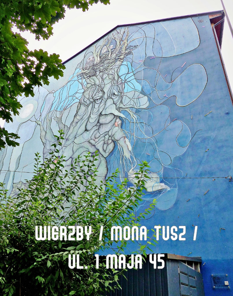 photo gallery image 01