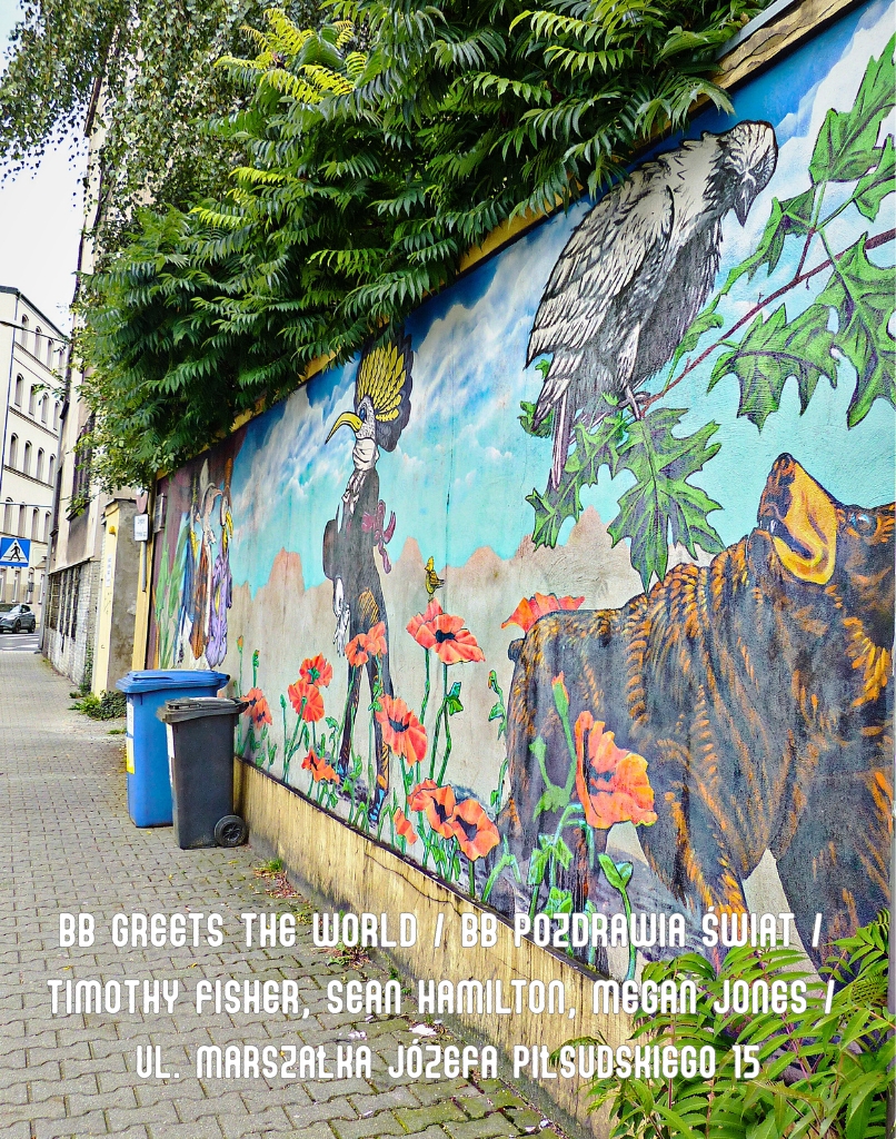 photo gallery image 01