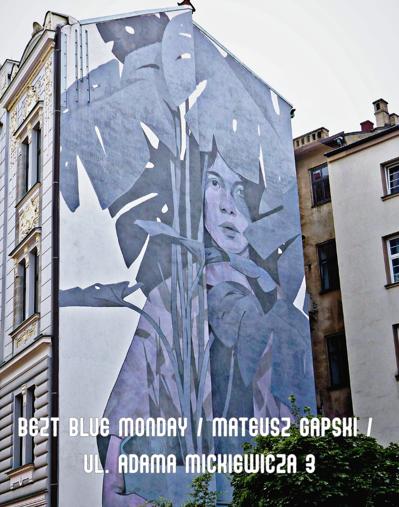 photo gallery image 01